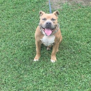 Meet your Posher, Luiz